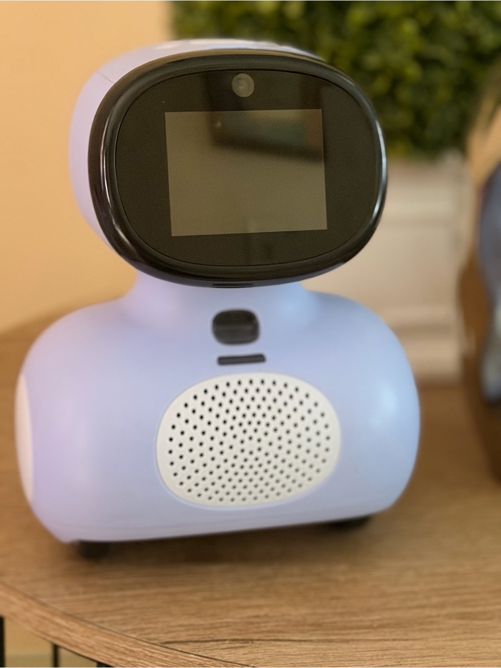 Portable Lavender Smart Speaker with Display - Portable Audio & Video